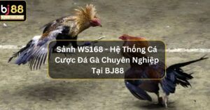 Sảnh WS168 - Hệ Thống Cá Cược Đá Gà Chuyên Nghiệp Tại BJ88