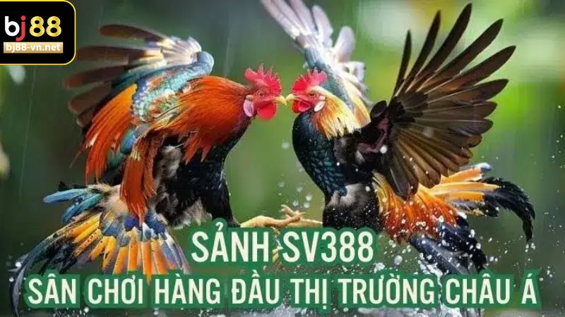 Lợi ích nổi bật sẽ nhận được khi tham gia 